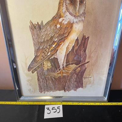 Owl Picture