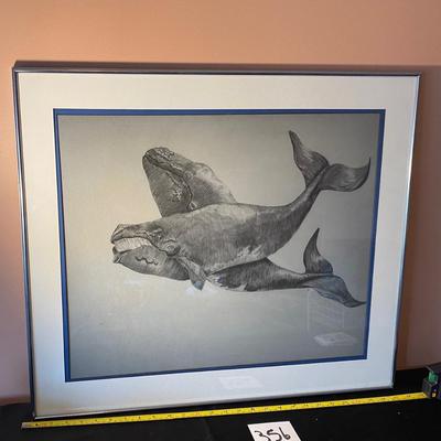 Whale Print