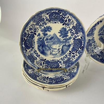 134 Villeroy Boch & Burgenland Pattern Dish Set