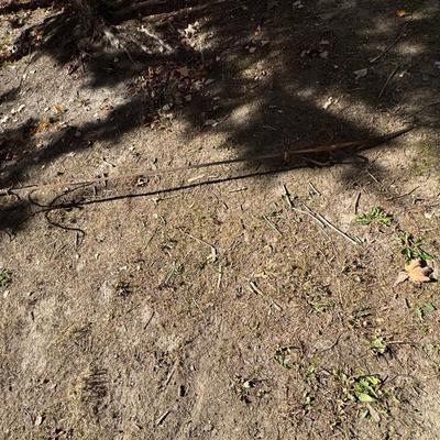 Antique Wrought Iron Plant Hanger 94” Tall