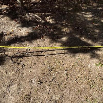 Antique Wrought Iron Plant Hanger 94” Tall