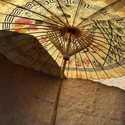 Vintage Asian Umbrella
