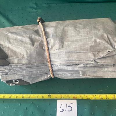 Large Tarp