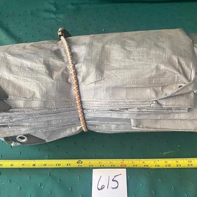Large Tarp