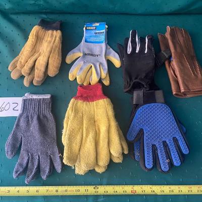 Glove Lot
