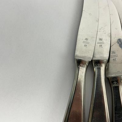 183 Stainless Steel Stanley Roberts Flatware