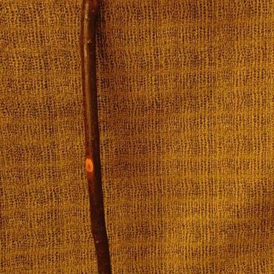 Vintage 36” Walking Stick/Cane