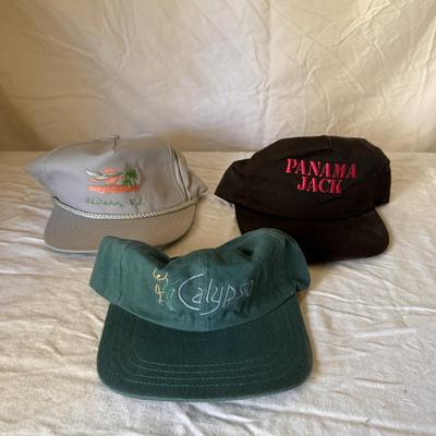 Assortment of Trucker Hats (PBC-DZ)