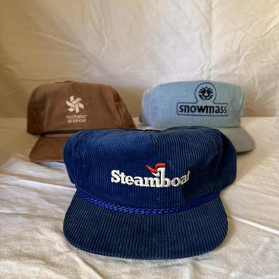 Assortment of Trucker Hats (PBC-DZ)