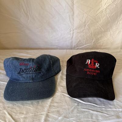 Assortment of Trucker Hats (PBC-DZ)