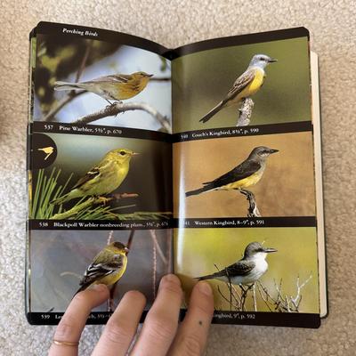 Bushnell Binoculars and Nature Field Guides (LR-DZ)