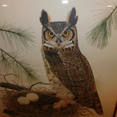 Custom Framed Thomas Allen Great Horned Owl Print with COA