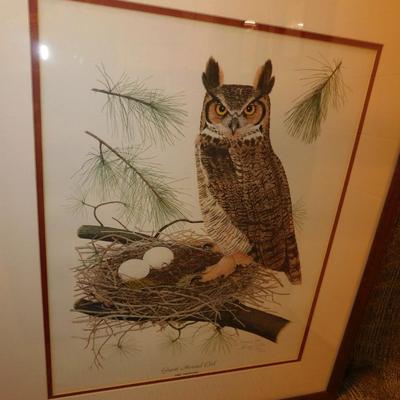 Custom Framed Thomas Allen Great Horned Owl Print with COA