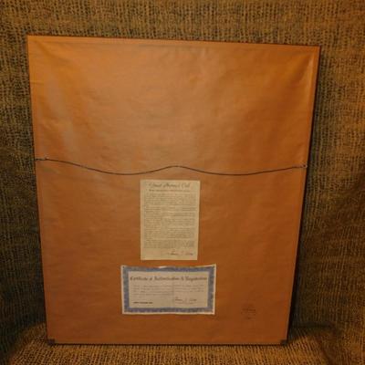 Custom Framed Thomas Allen Great Horned Owl Print with COA