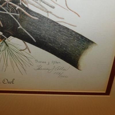 Custom Framed Thomas Allen Great Horned Owl Print with COA