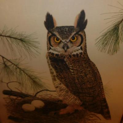 Custom Framed Thomas Allen Great Horned Owl Print with COA