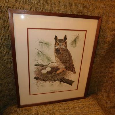 Custom Framed Thomas Allen Great Horned Owl Print with COA