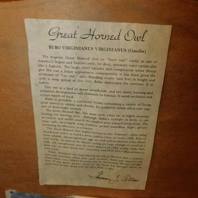 Custom Framed Thomas Allen Great Horned Owl Print with COA
