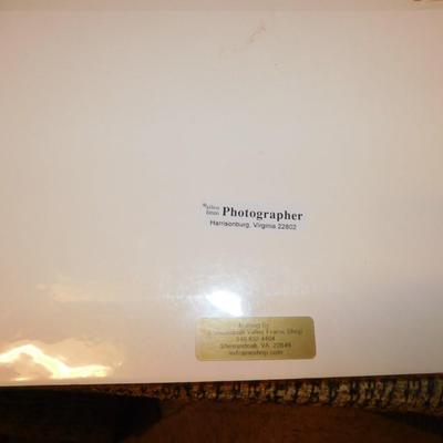 Lot of 5 Local Artist Allen Litten Photographs