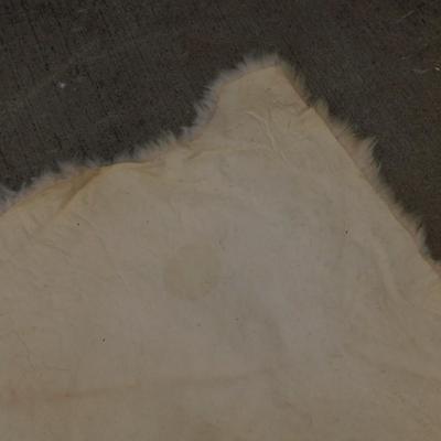 Small White Sheep Skin Rug 28"x44"