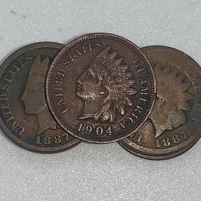 Unsearched Lot of 11 Indian Head Pennies