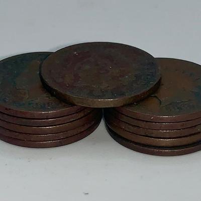 Unsearched Lot of 11 Indian Head Pennies