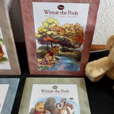 Four Winnie the Pooh books and a TY teddy bear