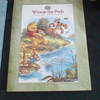 Four Winnie the Pooh books and a TY teddy bear