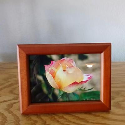 Brand new wood base lamp with two framed pictures