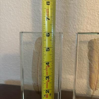 Lot 73 - Heavy Glass Feather Book Ends Paperweights