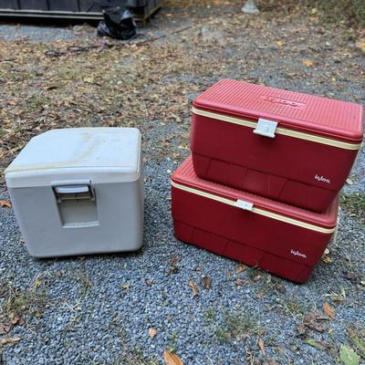 245 Igloo Ice Chest LOT