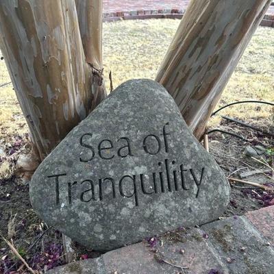 Lot 89 - Large Heavy Garden Rock “Sea of Tranquility”