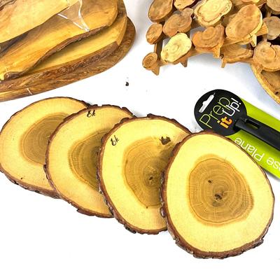 284 Live Wood Trivets and Wooden Bowl