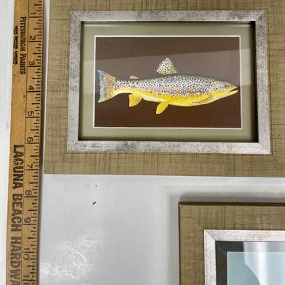 Set of 3 Framed Trout Salmon Images