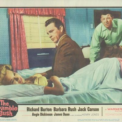 The Bramble Bush 1960 original vintage lobby card
