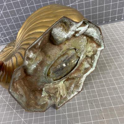Brass Nautilus Bowl or Planter, Solid Brass