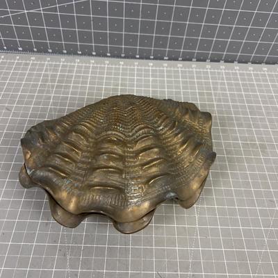 Brass Clam Shell/Box