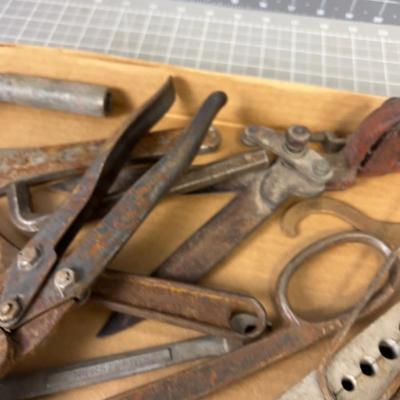 Tray full of Tools: Wrench, Cutters And Sockets