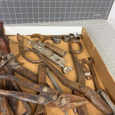 Tray full of Tools: Wrench, Cutters And Sockets