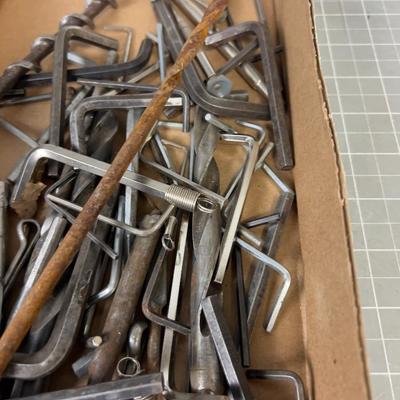 Tray full of Tools: Drill Bits and Allen Wrench 