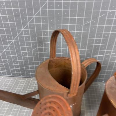 2 Rustic Darling Water Cans 