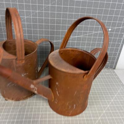 2 Rustic Darling Water Cans 