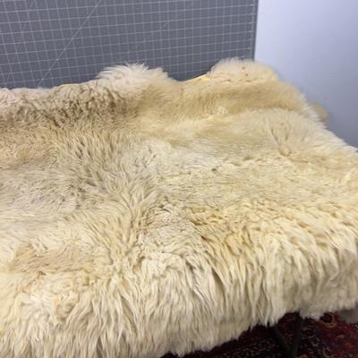 Sheep Skin Rug WOW!~ 