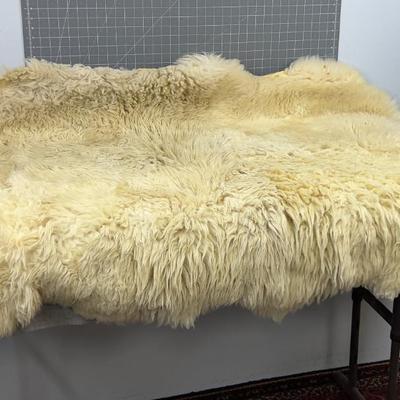 Sheep Skin Rug WOW!~ 