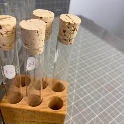 Test Tubes with Holder