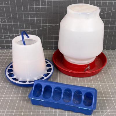 Bird Feeders 