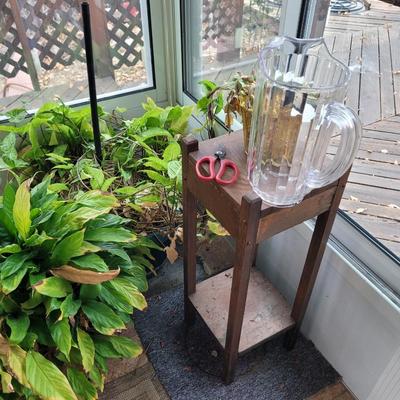 3 plants, stand, pitcher and shears