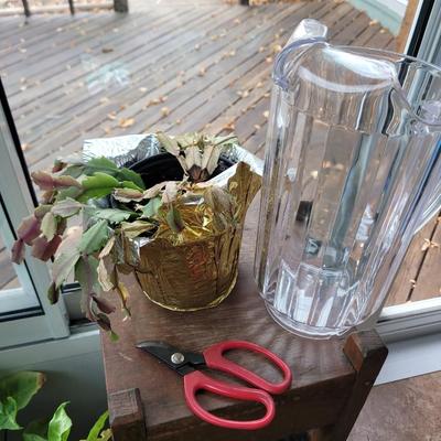 3 plants, stand, pitcher and shears