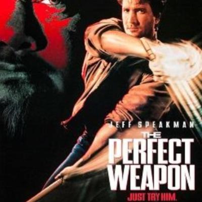 The Perfect Weapon 1991 original movie poster
