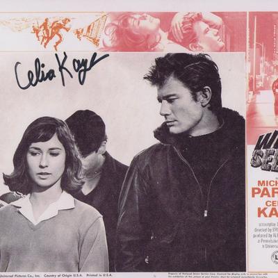 Wild Seed Celia Kaye signed lobby card